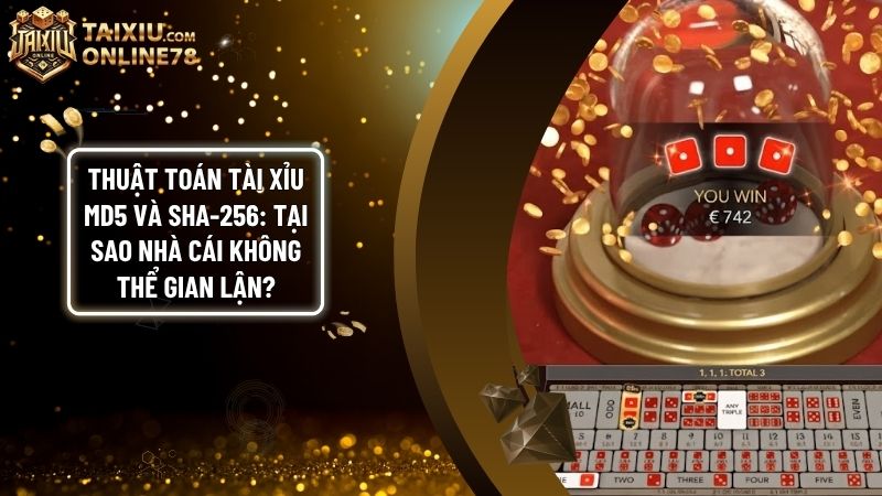 tai xiu md5 va sha256 - Thuật toán Tài xỉu MD5 và SHA-256: 'Lá chắn' minh bạch tuyệt đối 2026